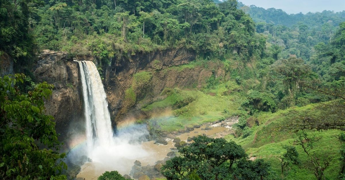 waterfall surrounded by lush jungle in Cameroon