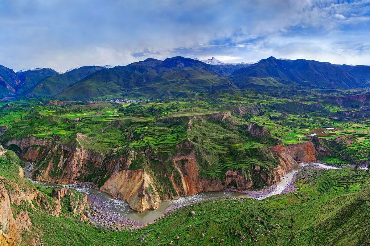 Colca Canyon with terraced agriculture and mountains