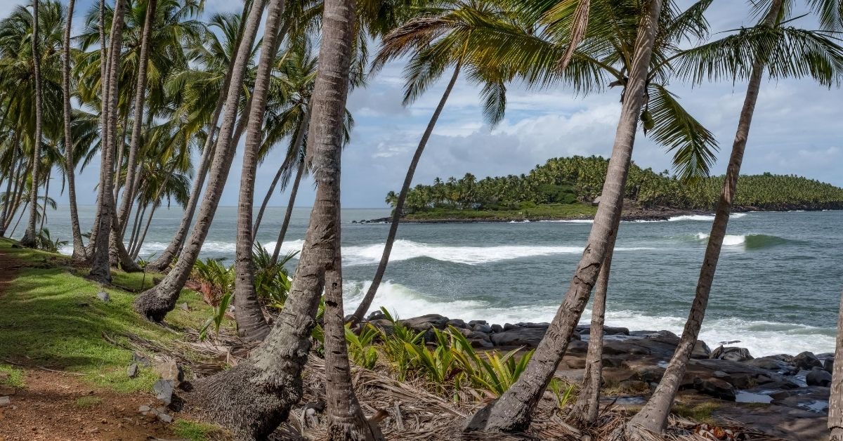 palm trees and tropical island off the coast of French Guiana with waves of the Atlantic