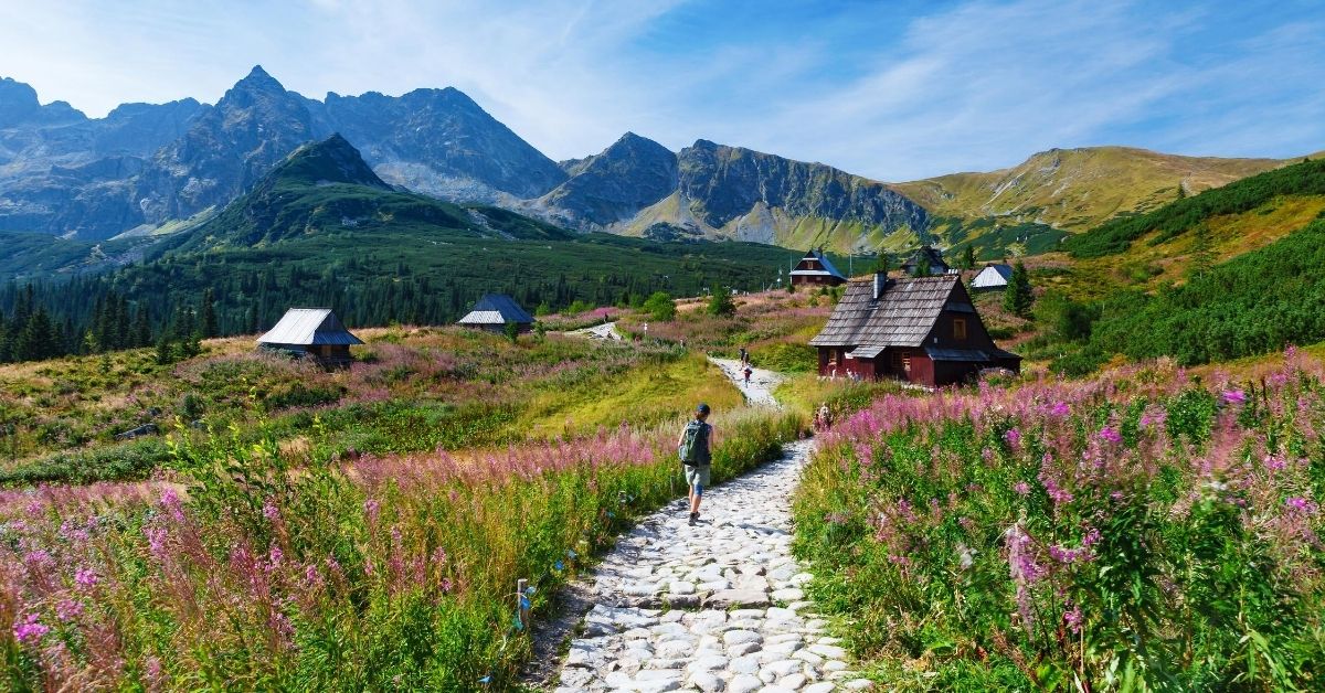 hiker on meandering path through valley with a village and wildflowers