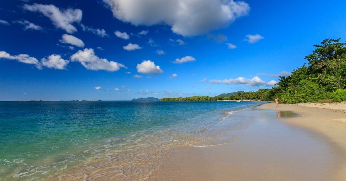 beach with Caribbean in Grenada
