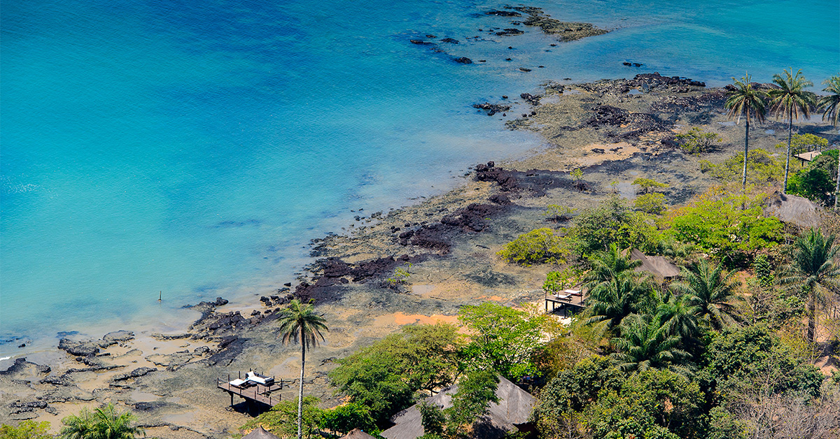 bird's eye view of palm tree lined coast in the Bissagos Archipelago