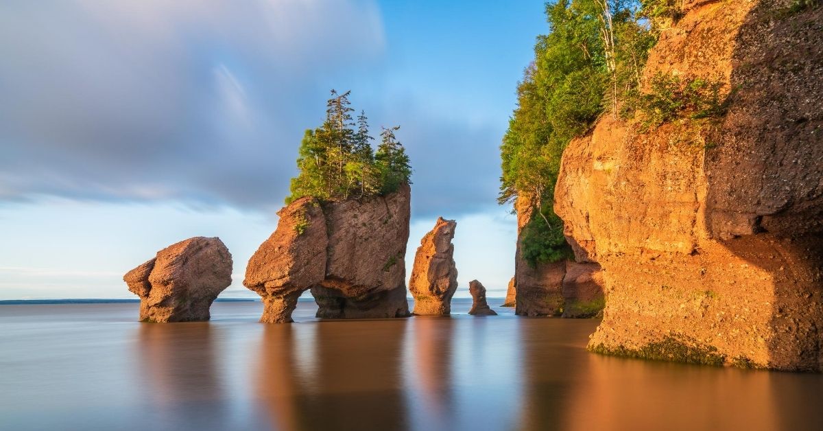 rock formations with trees growing from them on a smooth beach on the Bay of Fundy