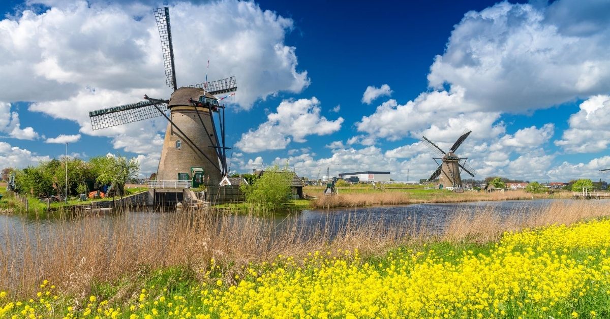 windmills with canals and yellow wildflowers and cloudy blue skies in the Netherlands