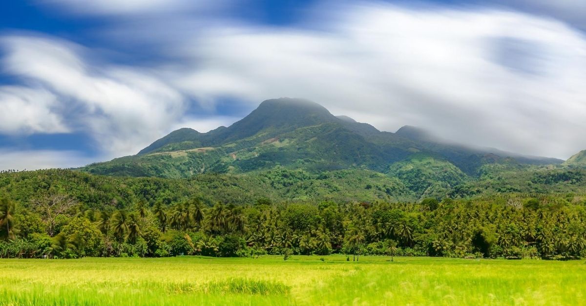 jungle covered volcano with yellowish green landscape below