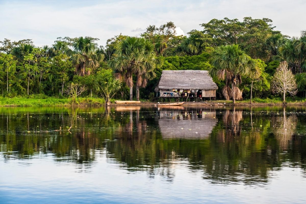 traditional home on stilts with thatched roof along the river in the Amazon rainforest