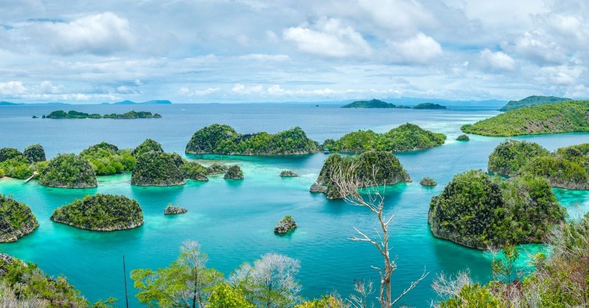 bird's eye view tiny islands of rock and green vegetation with coral and the Pacific weaving around them