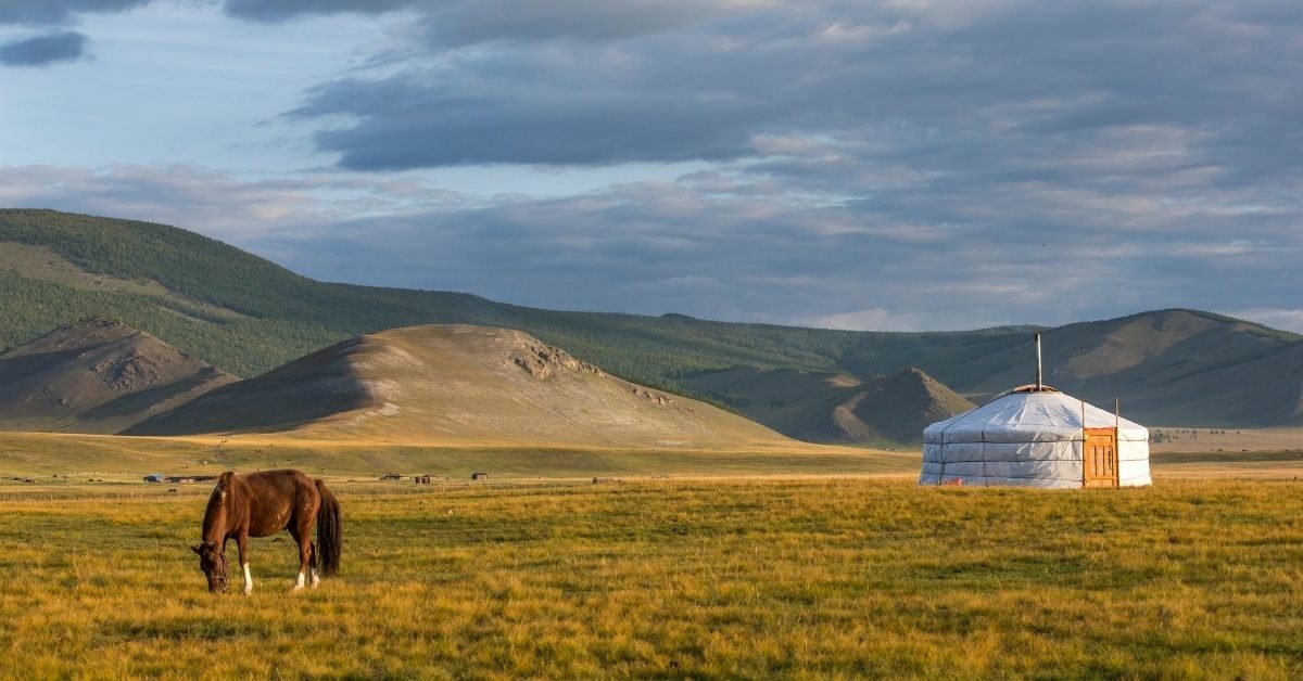 landscape with a yurt and a horse grazing and a white yurt and hills in the background