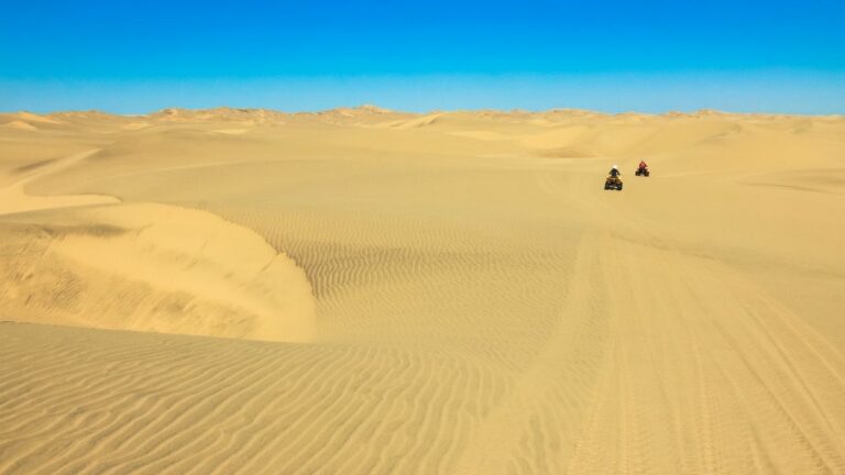 riding quads in the Namib desert