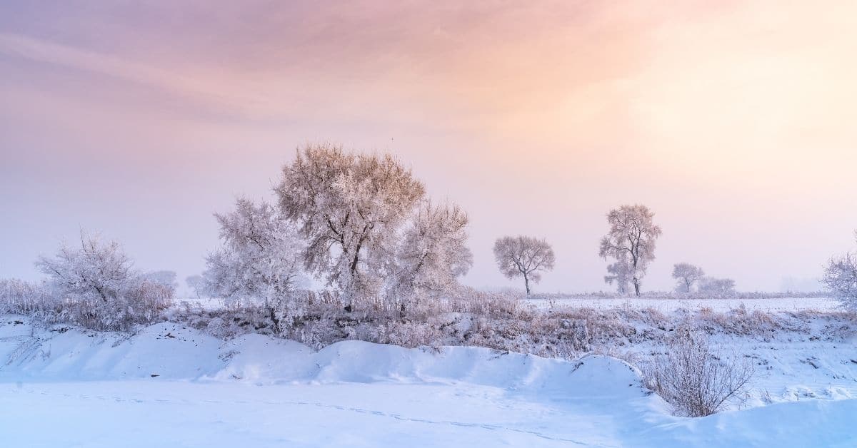 beautiful snowy landscape with pastel skies