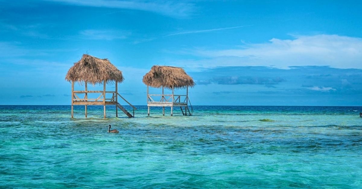 two water thatched huts in shallow waters of the Caribbean Ocean off the coast of Belize with pelican