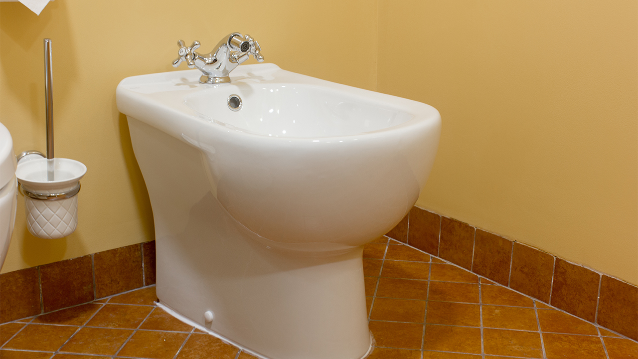 Potty training for travelers, a bidet example