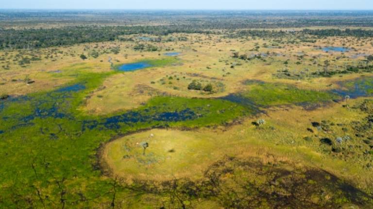 Bird's eye view of the Okavango Delta near Maun