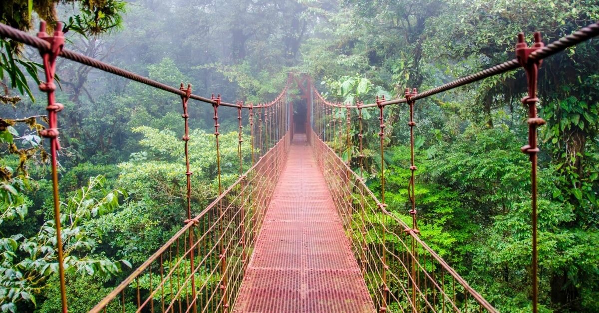 suspension walking bridge in the cloud forest of Monteverde, Costa Rica