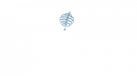 Vir_Logo_Member_Int_RevColor_RGB