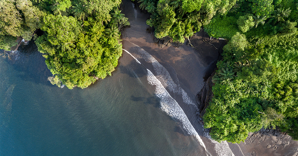 bird's eye view of lush jungle and beach with blue waters in Equatorial Guinea