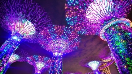 Gardens By The Bay illuminated flower towers in Singapore