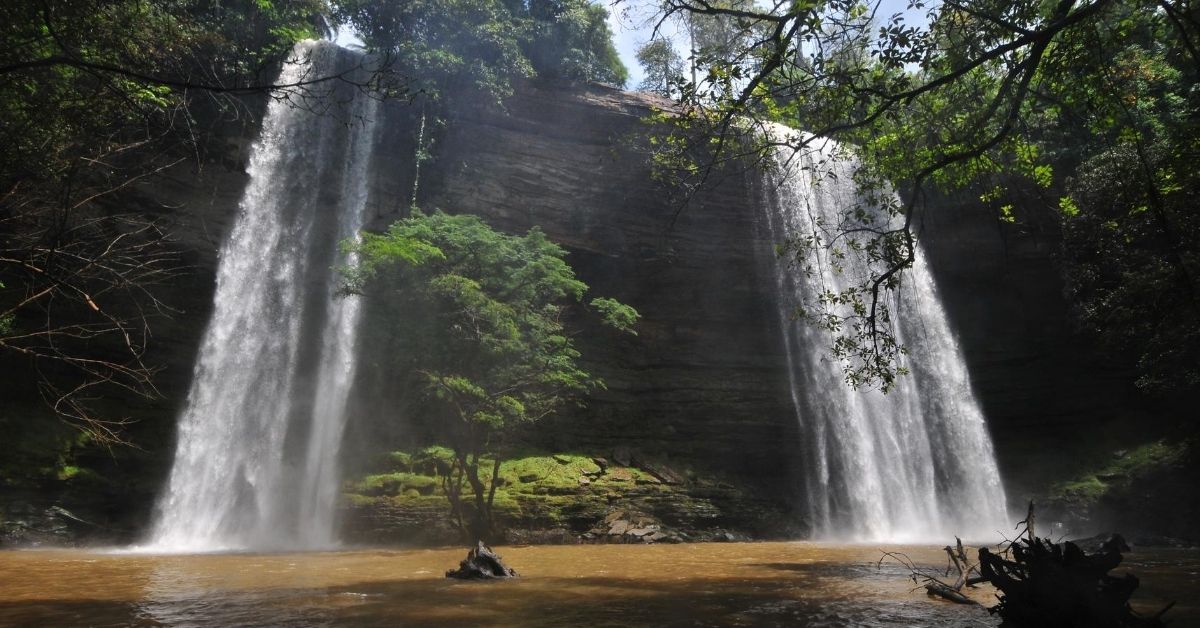 waterfall with two cascades and foliage and tree surrounded by water