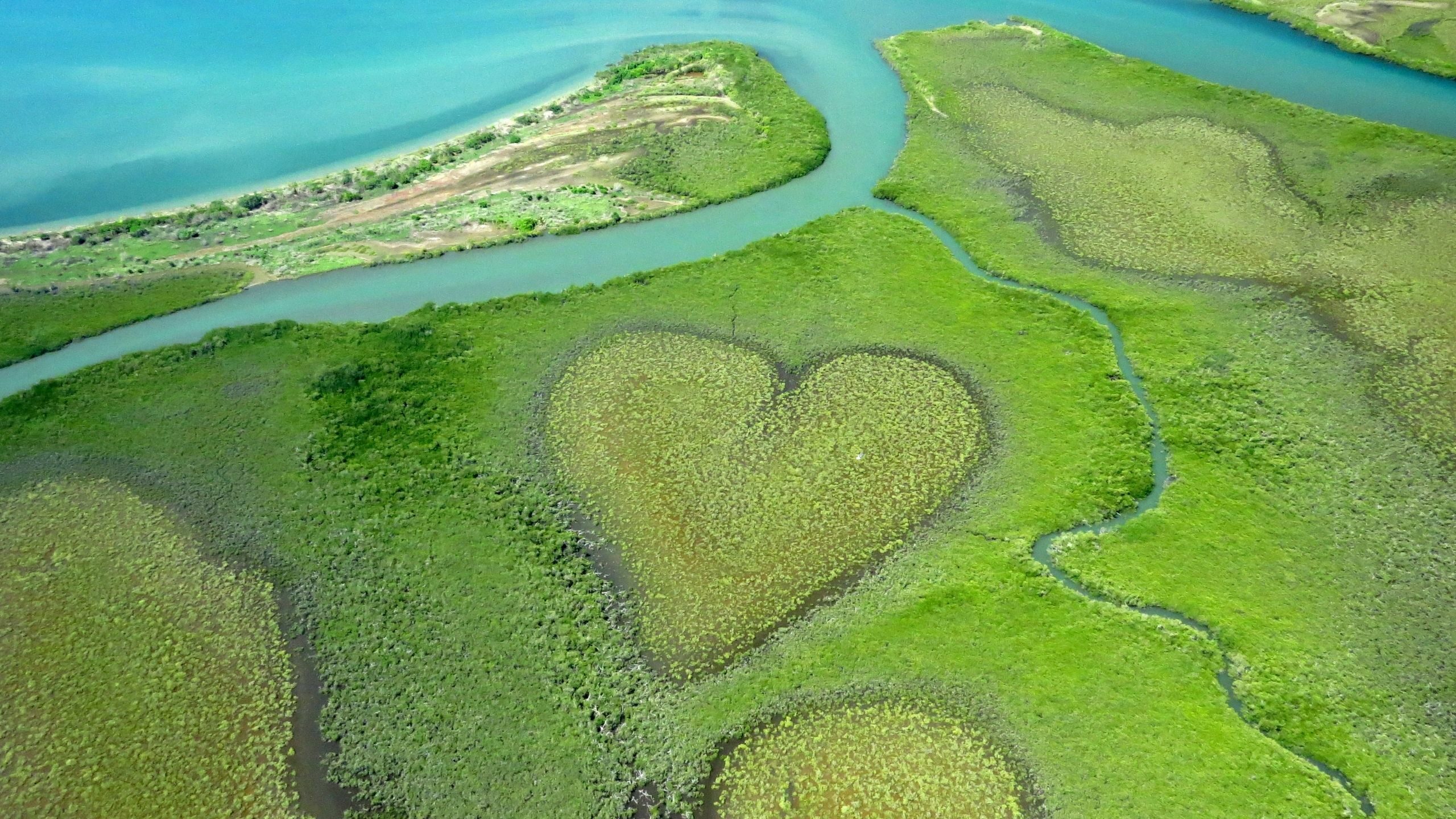 vegetation creating a heart shaped figure in New Caledonia, South Pacific