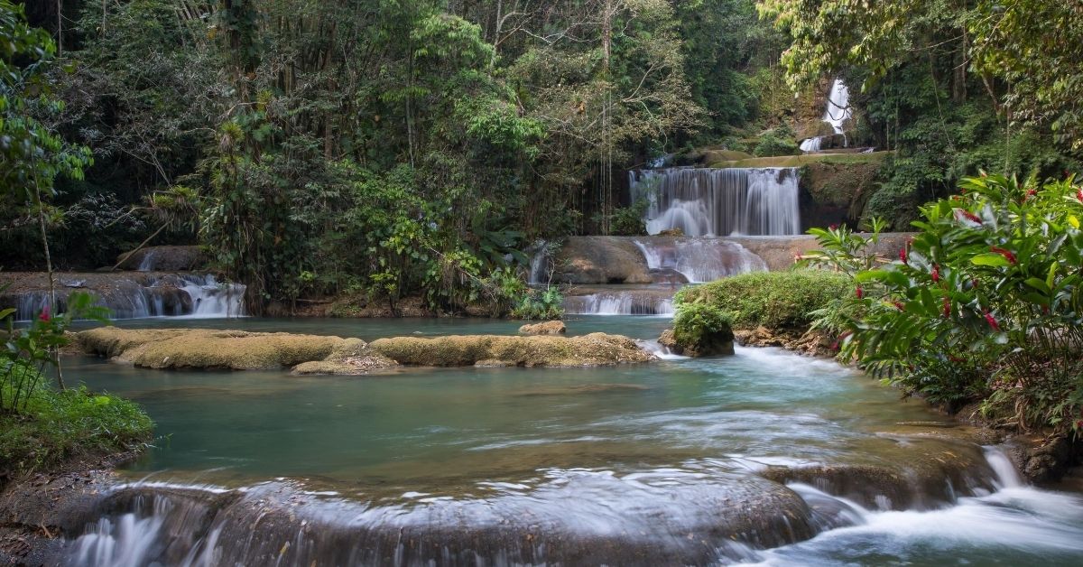 cascading waterfall surrounded by a cascading waterfall in a lush rainforest in Jamaica