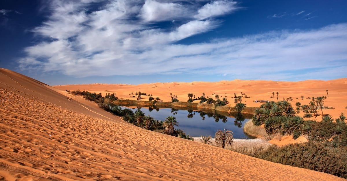 red sand dunes and palm trees surrounding a desert oasis in Libya