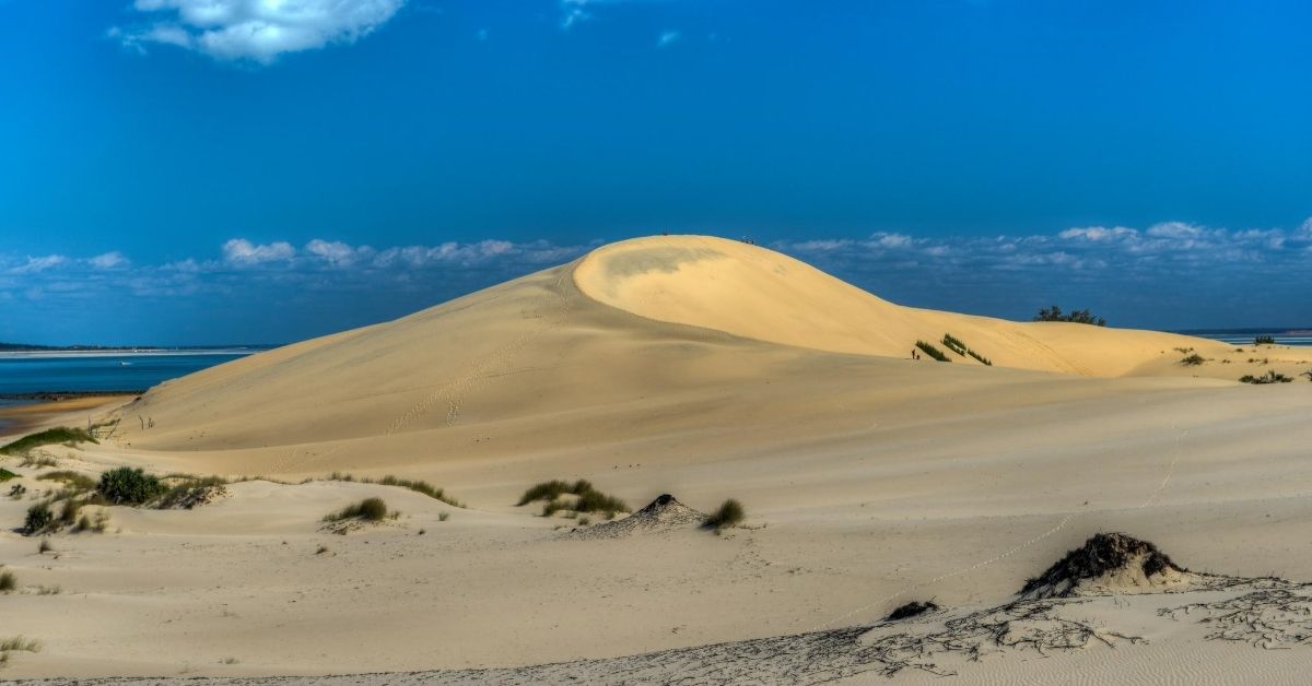 sand dune on Bazaruto Island in the Indian Ocean against a deep blue sky