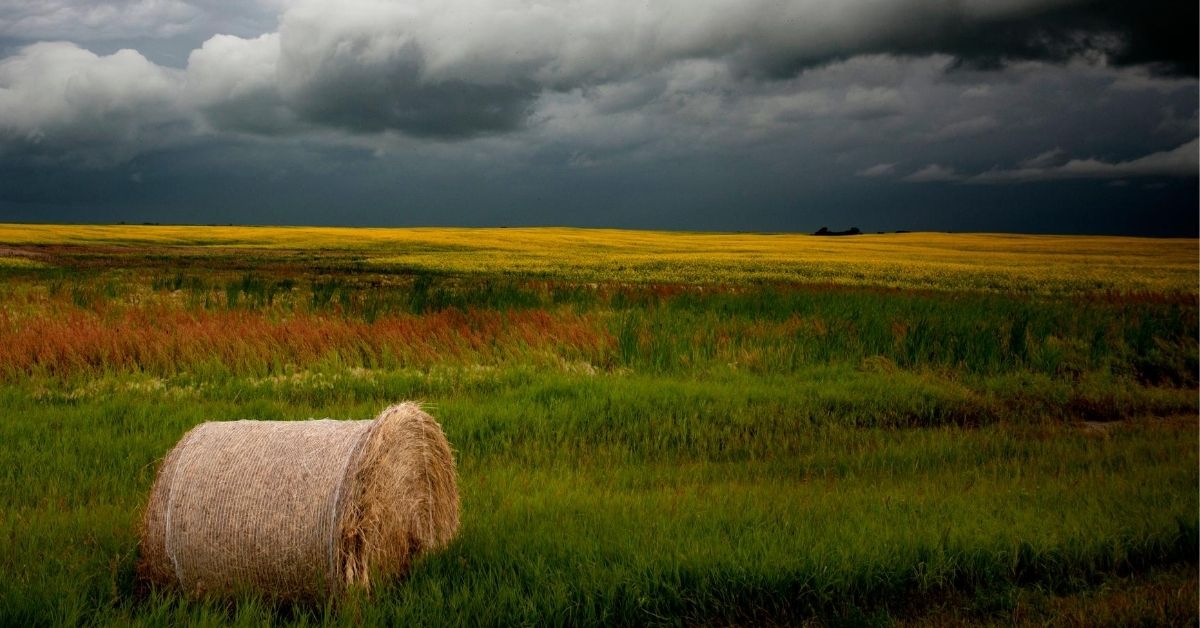 agriculture in rural Saskatchewan with green, red and yellow fields with hay bale and stormy sky