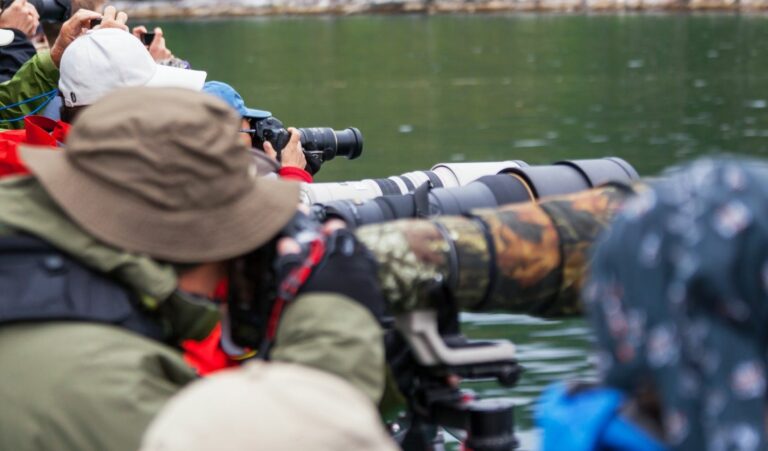 crowd of photographers on water safari