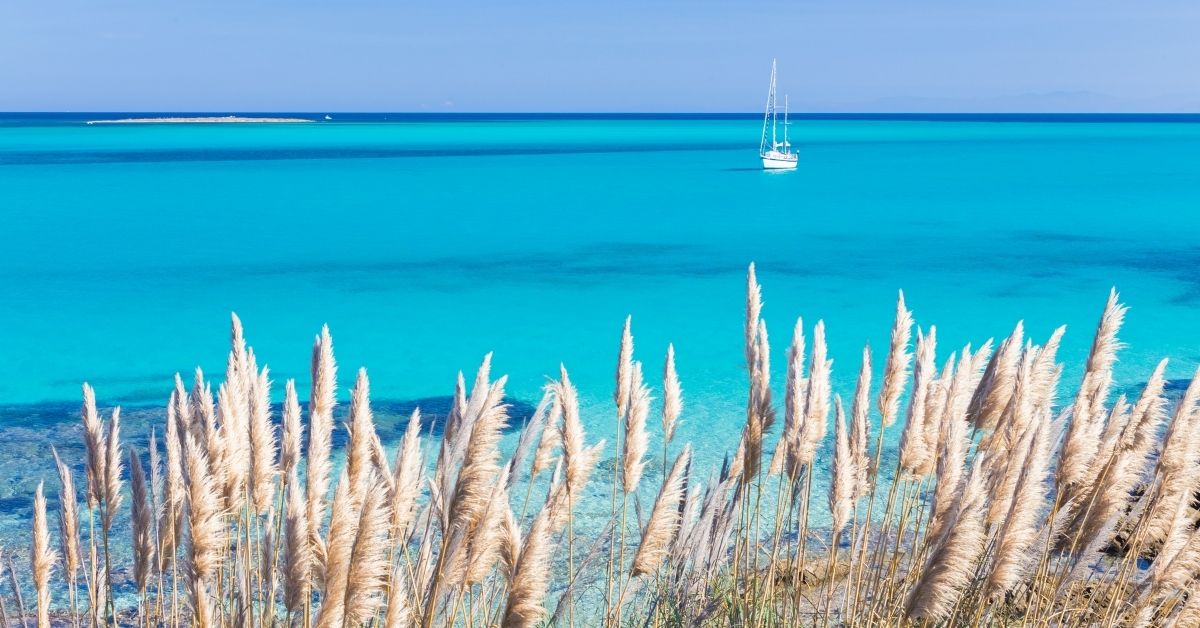 The mediterreanean's turquoise water and saliboat with tall beach grass