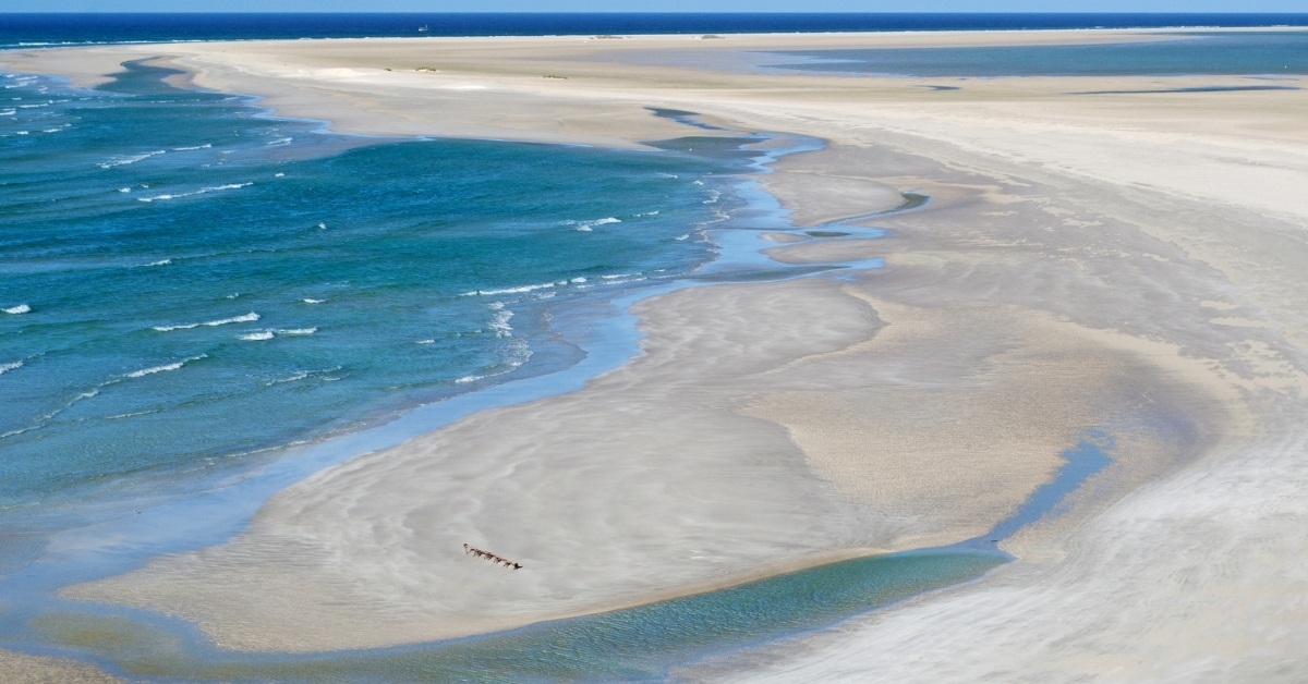 beautiful windswept beach and the blue waters of the Arabian Sea off Socotra