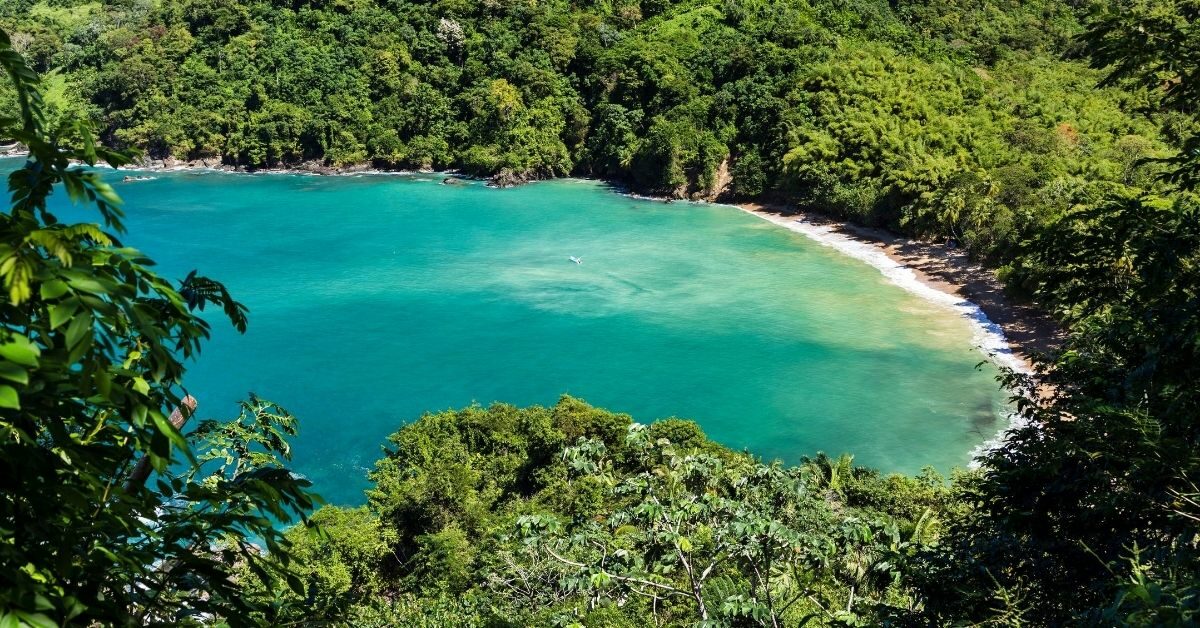 lush tropical jungle surrounding azure colored Caribbean bay in Tobago