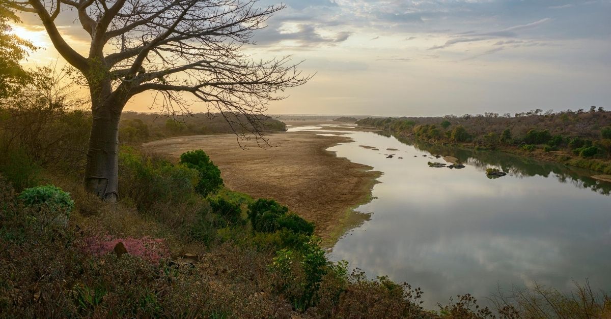 peaceful landscape of tree on hillside nest to the Save River at dusk